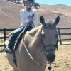 All Seasons Horse Riding