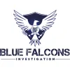 Blue Falcons Investigation