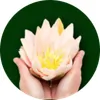 Nurturing Health Massage