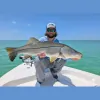 Palm Island Outfitters