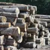 Lashway Lumber