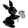 Black Rabbit