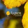 Aspen Copies