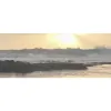 Inner Shores