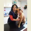 Bag of Bones Barkery
