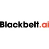 Blackbelt Agency