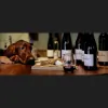 Airlie Winery