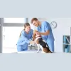 Fontana Animal Hospital