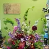 Qina Girl Floral