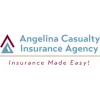 Angelina Casualty