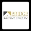 Bridge Insurance Group