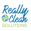 Really Clean Solutions