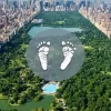 Central Park South Obstetrics & Gynecology