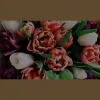 Lydia's Flowers