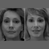 The Williams Center for Plastic Surgery