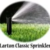 Larton Classic