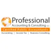 Professional Accounting