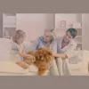 Eaton Insurance