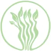 Green Zebra Cafe