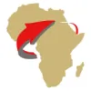 Africa 2000