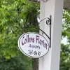 Collins Florist and Gifts