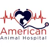 American Animal Hospital