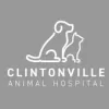 Clintonville Animal Hospital