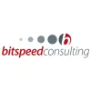 Bitspeed Consulting