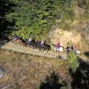 Horseshoe Creek Riding Stables