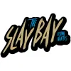 Slay The Bay Fishing Charters Of Tampa Bay