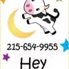 Little Diddle Preschool
