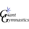 Giant Gymnastics