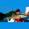 Cast Away Adventures