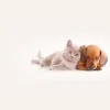 Loveland Animal Hospital