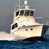 Distraction Charters