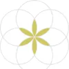 Susan Monaco Acupuncture & Chinese Medicine