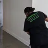 Squeaky Green Janitorial
