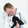 Bear Lake Animal Hospital