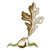 Sonoma Naturopathic Medicine
