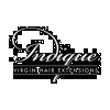 Indique Virgin Hair Extensions