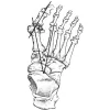 Wasatch Foot & Ankle Center: Spence Harper, DPM
