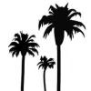 Desert Wellness Psychiatry