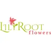 LilyRoot flowers