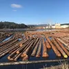 Stimson Lumber