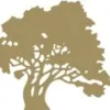 Brightmore of South Charlotte