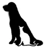 All Creatures Animal Hospital
