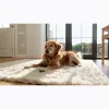 Royal Treatment Carpet & Upholstery Cleaning