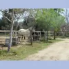Rancho Rio Equestrian Center