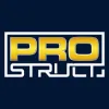 Prostruct Inc