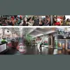 Evolution Fitness